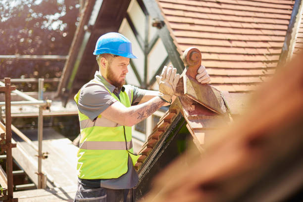 Best Roof Gutter Cleaning  in Post, TX